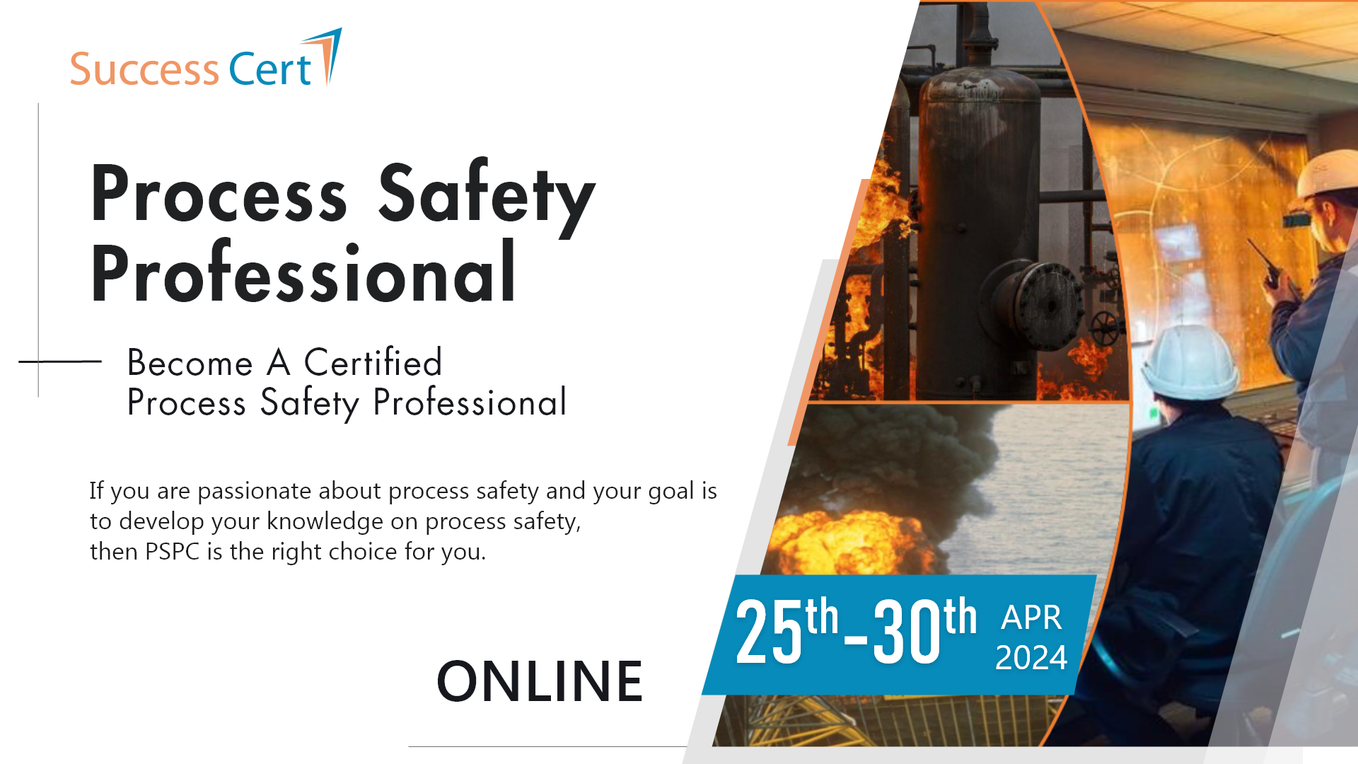 Process Safety Professional